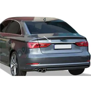 Modanatura sopra targa Sedan (acciaio inox) foto 1