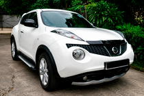 Nissan Juke 2010-2019 Pedane Laterali Allmond Grey (2 pz, Alluminio) foto 1