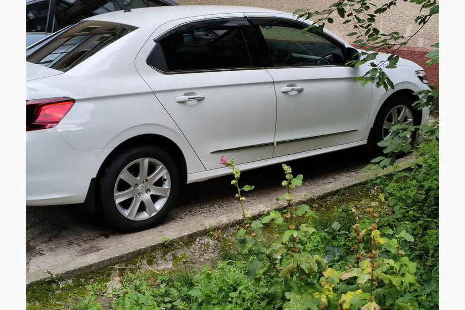 Peugeot 301 2012- Cornici Finestrini Acciaio Inox Image