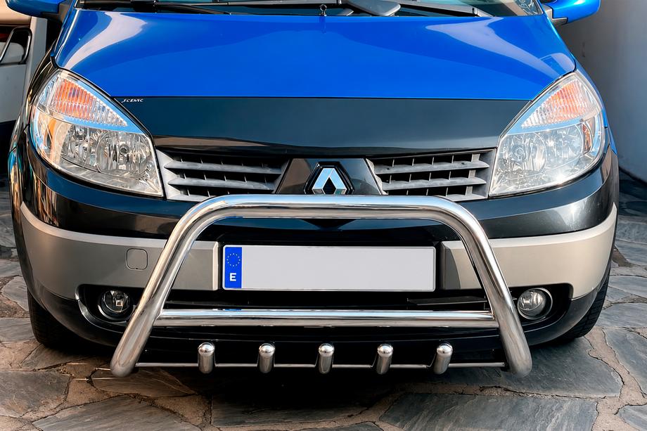 Renault Scenic/Grand 2003-2009 Paraurti Anteriore WT003 (Acciaio Inox) Image