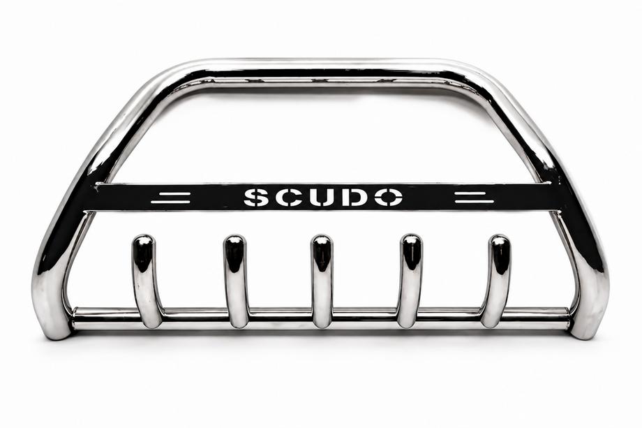 Fiat Scudo 1996-2007 Parabullbar WT004 Acciaio Inox Image