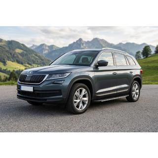 Pedane Laterali Bosphore Grey (2 pz, Alluminio) Skoda Kodiaq 2016-2023 foto 1