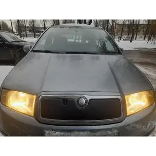 Copertura invernale per griglia Skoda Fabia 2000-2007 foto 1