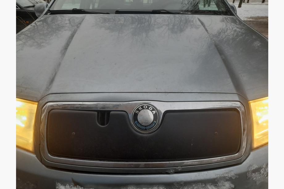 Skoda Fabia 2000-2007 Copertura invernale per griglia Foto 2