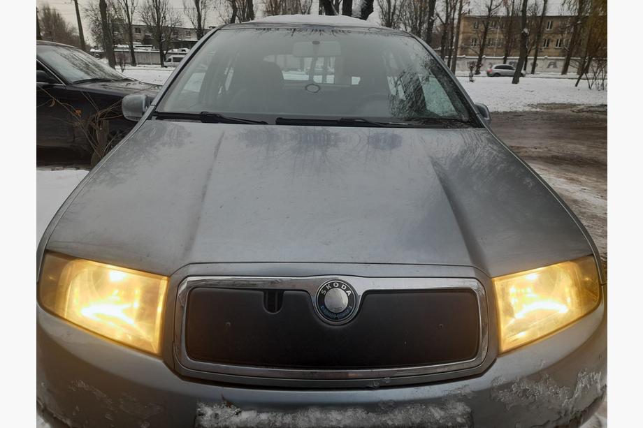 Skoda Fabia 2000-2007 Copertura invernale per griglia Foto 1