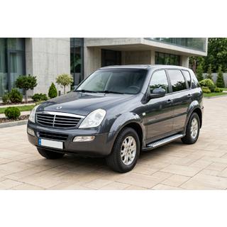 Pedane Laterali Allmond Grey (2 pz, Alluminio) SsangYong Rexton I 2001-2017 foto 1