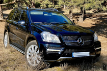 Mercedes GL class X164 2006-2012 Griglia anteriore Diamond (2006-2009) foto 4