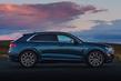 Sfoglia trazione integrale premio crossover Audi Q8 foto 10