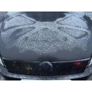 Griglia invernale (EU/USA) Volkswagen Passat B7 2012-2015 foto 1