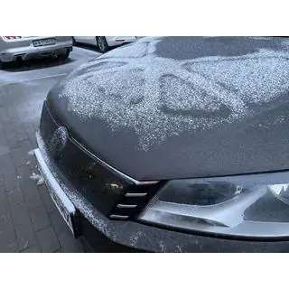Griglia invernale (EU/USA) Volkswagen Passat B7 2012-2015 foto 4