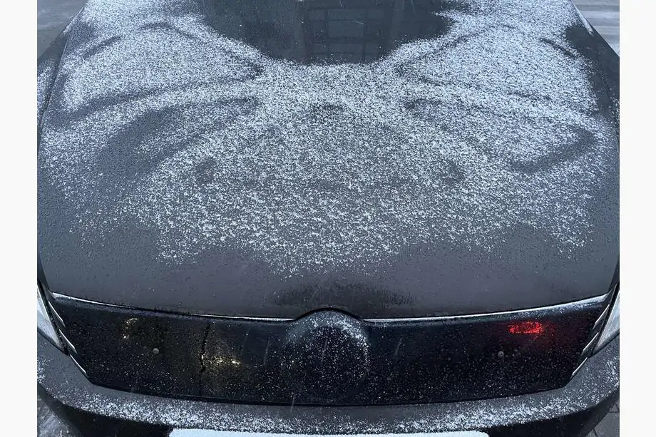 Volkswagen Passat B7 2012-2015 Griglia invernale (EU/USA) Foto 1