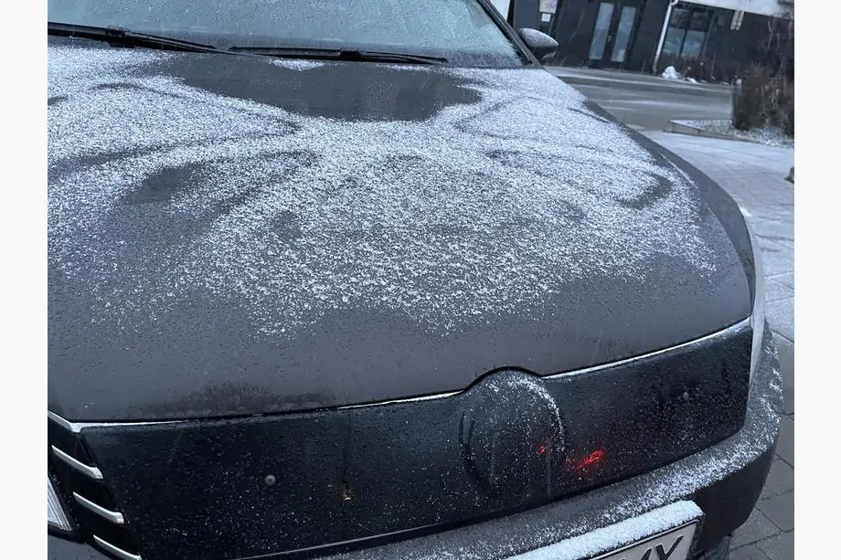 Volkswagen Passat B7 2012-2015 Griglia invernale (EU/USA) Foto 3