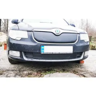 Copertura invernale per griglia (Superiore, 2008-2013) Skoda Superb 2009-2015 foto 3