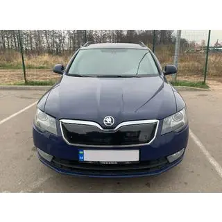 Copertura invernale griglia (Superiore, 2013-2015) Skoda Superb 2009-2015 foto 1