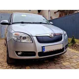Copertura invernale per griglia (2007-2010, superiore) Skoda Roomster 2006-2015 foto 2