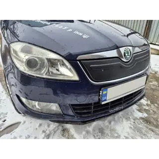 Copertura invernale per griglia (2010+, superiore) Skoda Roomster 2006-2015 foto 1
