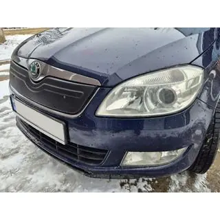 Copertura invernale per griglia (2010+, superiore) Skoda Roomster 2006-2015 foto 2