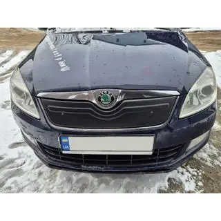 Copertura invernale per griglia (2010+, superiore) Skoda Roomster 2006-2015 foto 3