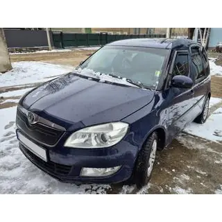 Copertura invernale per griglia (2010+, superiore) Skoda Roomster 2006-2015 foto 4