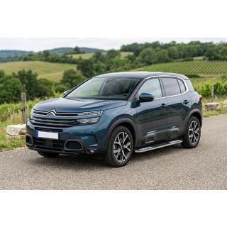 Pedane Laterali Tayga V2 (2 pz, Alluminio) foto 1