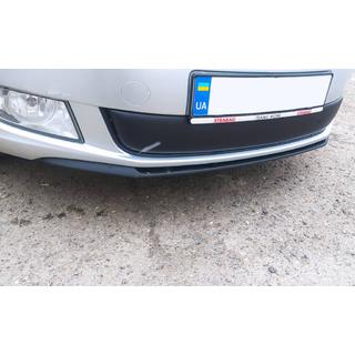 Copertura invernale griglia (2011-2014, inferiore) Skoda Fabia 2007-2014 foto 2