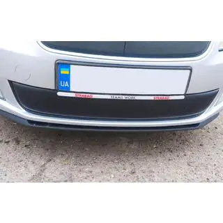Copertura invernale griglia (2011-2014, inferiore) Skoda Roomster 2006-2015 foto 1
