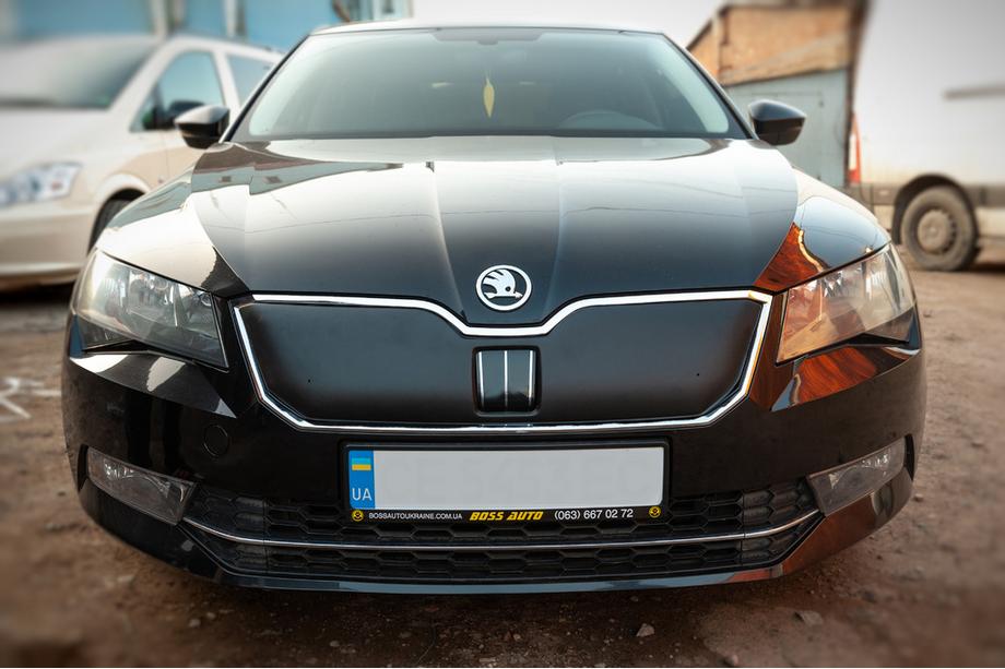 Skoda Superb 2015-2024 Copertura invernale per griglia (2015-2019, superiore) Foto 2