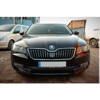 Copertura invernale per griglia (2015-2019, inferiore) Skoda Superb 2015-2024 foto 1