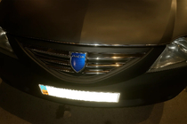 Renault Logan I 2005-2008 Coperture Griglia in Acciaio Inox Carmos - Acciaio Inox Turco foto 3