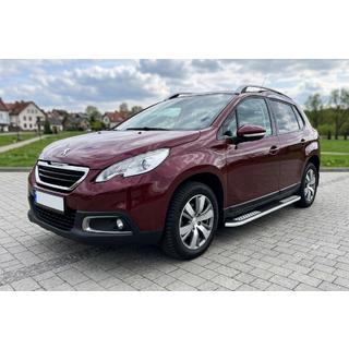 Pedane Laterali Tayga V2 (2 pz, Alluminio) foto 1