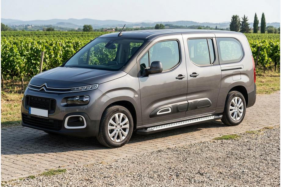 Citroen Berlingo/Multispace 2018- Pedane laterali Allmond Grey (2 pz, alluminio) Image