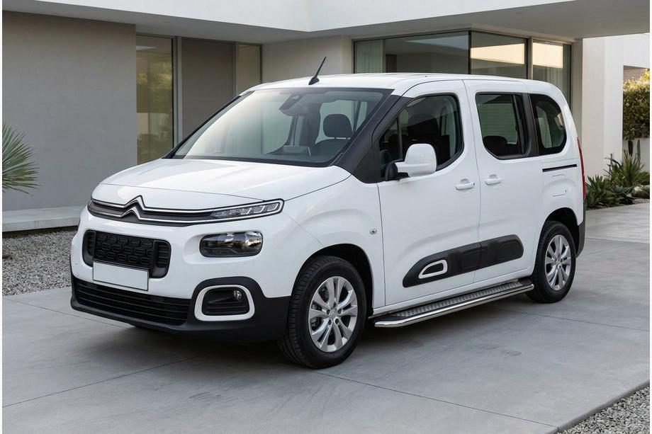 Citroen Berlingo/Multispace 2018- Pedane Laterali Maydos V2 (2 pz, Alluminio e Acciaio Inox) Image