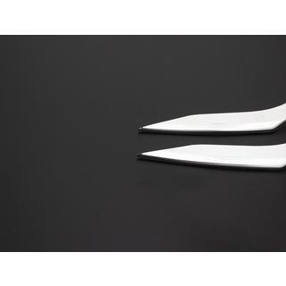Cornici Fendinebbia (4 pz, Acciaio Inox) foto 3