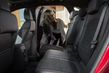 La nuova generazione del crossover compatto di Ford Kuga foto 10