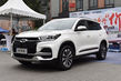 Recensione di medie dimensioni di crossover Chery Tiggo 8 foto 3