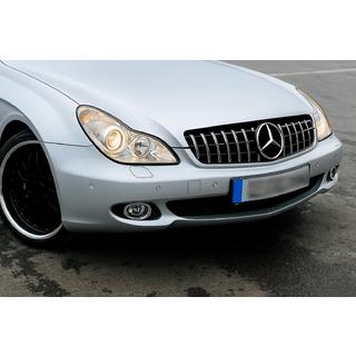 Griglia Anteriore (2008-2010, GT Panamericana) Mercedes CLS C219 2004-2010 foto 1