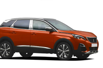 Peugeot 3008 2016-2023 Coperture montanti porta in acciaio inox foto 4