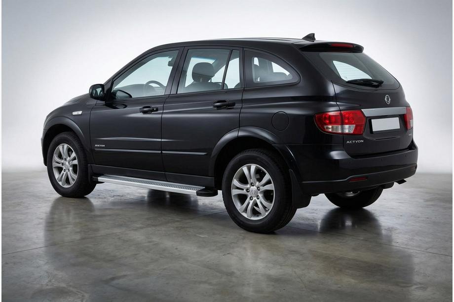 SsangYong Action 2005-2018 Pedane Laterali Maya V2 (2 pz, Alluminio) Image
