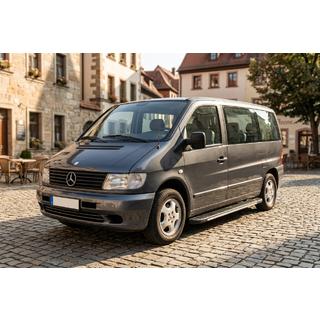 Pedane laterali Bosphorus Grey (2 pz, alluminio) Mercedes Vito W638 1996-2003 foto 1