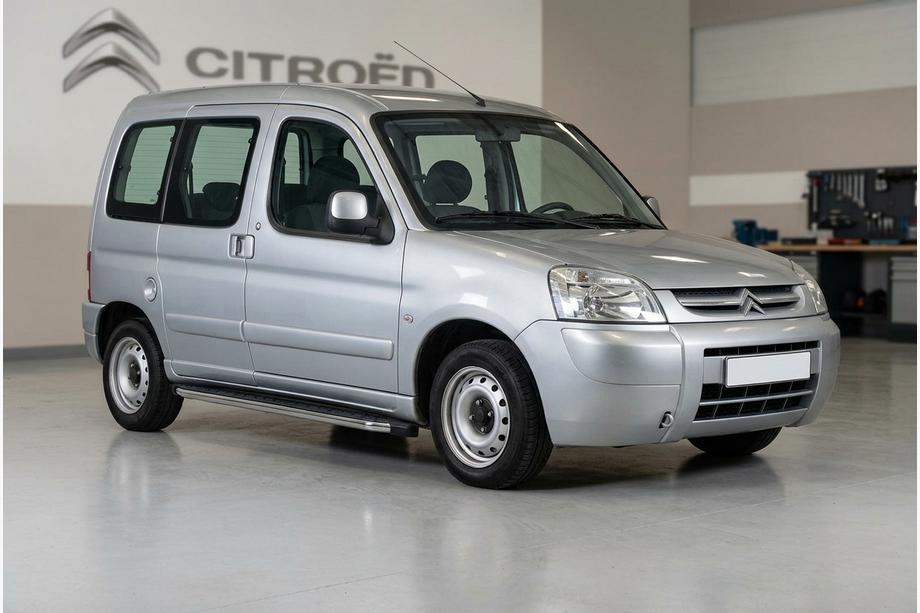 Citroen Berlingo 1996-2008 Pedane Laterali BlackLine (2 pz, Alluminio) Image