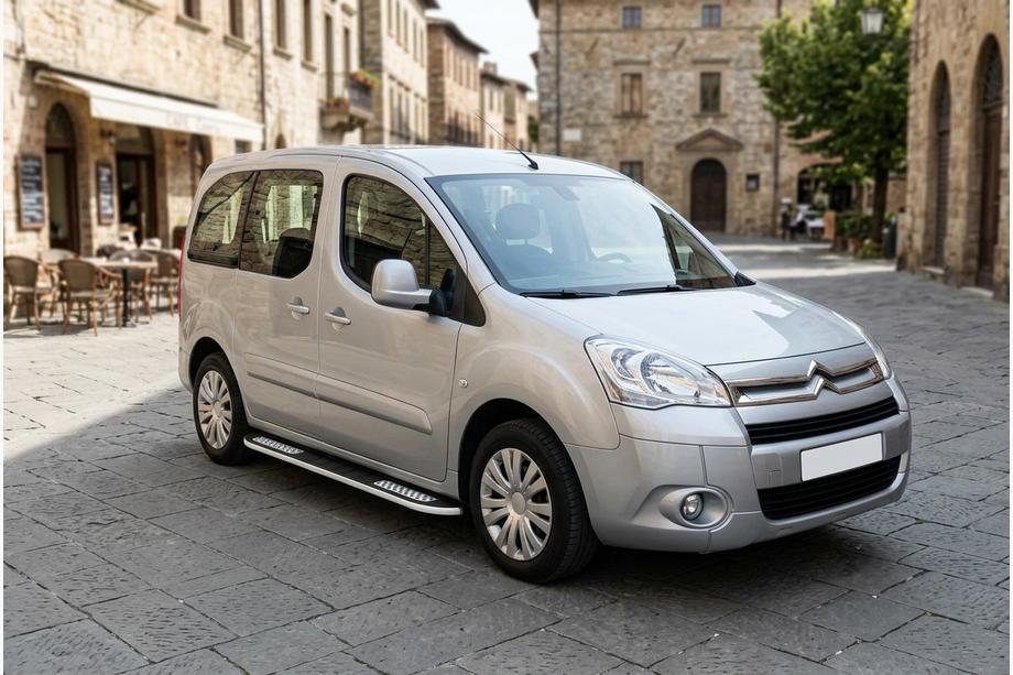 Citroen Berlingo 2008-2018 Pedane Laterali Tayga V2 (2 pz, Alluminio) Image