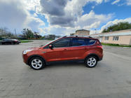 Ford Kuga/Escape 2013-2019 Barre portatutto turche Cromo (2 pz) foto 3