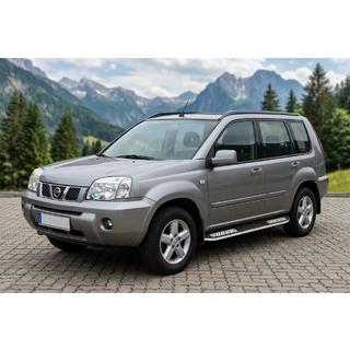 Pedane Laterali Tayga V2 (2 pz, Alluminio) foto 1