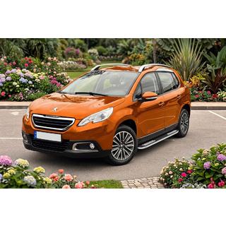Pedane Laterali Tayga V2 (2 pz, Alluminio) foto 1
