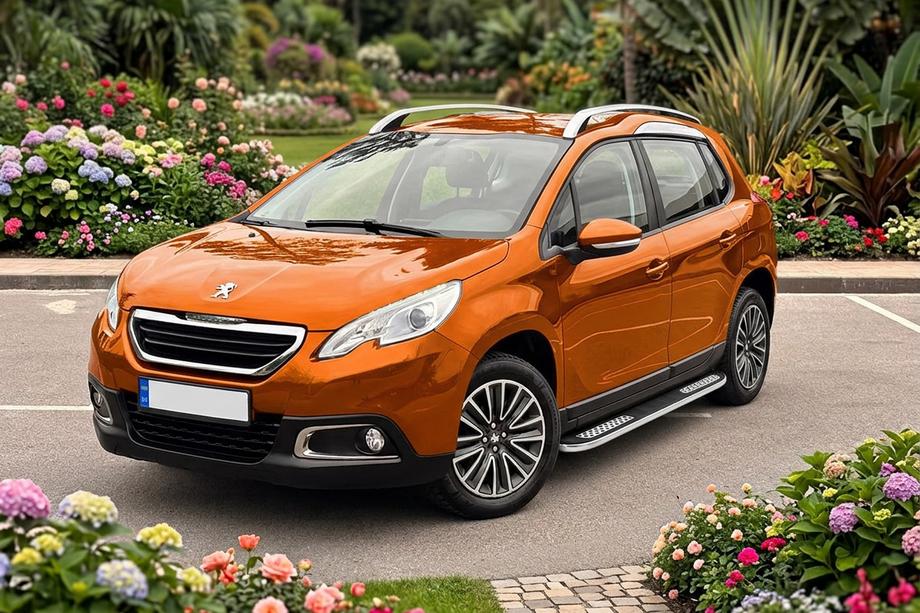 Peugeot 2008 2013-2019 Pedane Laterali Tayga V2 (2 pz, Alluminio) Image