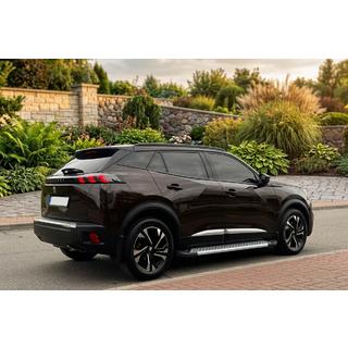 Pedane Laterali New Vision Grey (2 pz, Alluminio) Peugeot 3008 2016-2023 foto 1