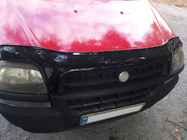 Fiat Doblo I 2001-2005 Deflettore cofano EuroCap foto 8