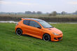 Messa a punto Peugeot 206 foto 1