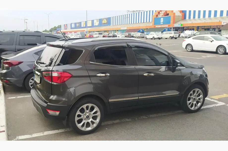 Ford Ecosport 2013-2022 Modanature porte acciaio inox (4 pezzi) Image