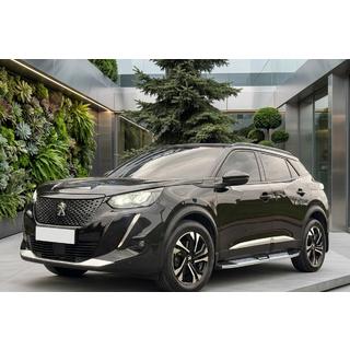Pedane Laterali Mevsim Grey (2 pz, Alluminio) Peugeot 3008 2016-2023 foto 1